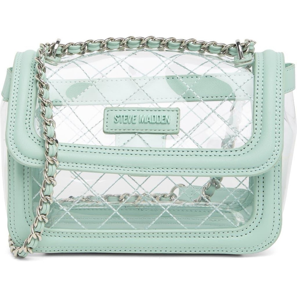 NWT Steve Madden Clear Bag